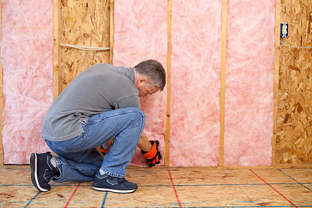 Best Insulation Maintenance and Repair in Cross Roads, TX