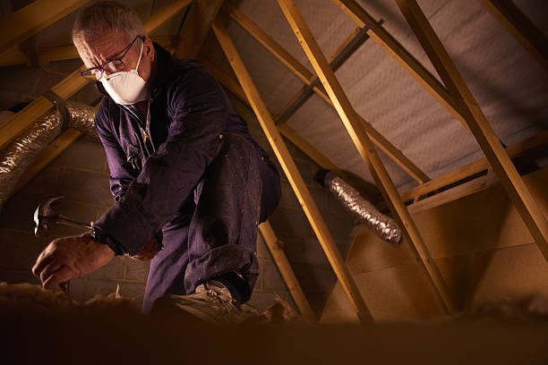 Best Insulation Materials and Products in Cross Roads, TX